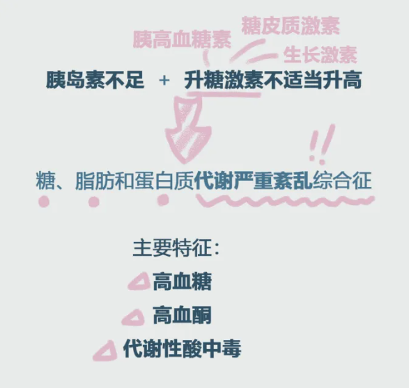 微信图片_20240705160103