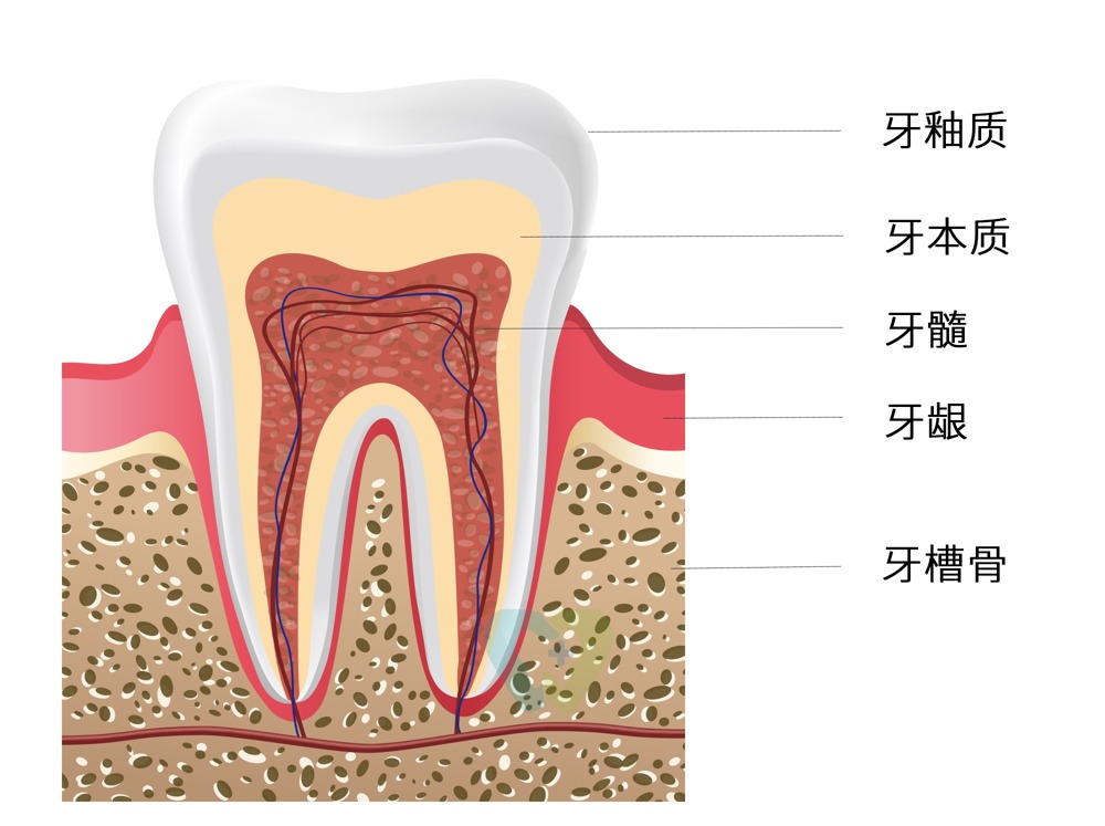 bdce45c0db93404cbeaff46f46a13021.jpeg bdce45c0db93404cbeaff46f46a13021.jpeg