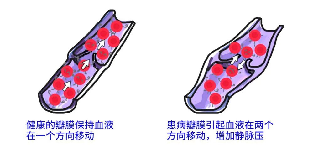 33c1e3c740a1990156451e8802dfd317