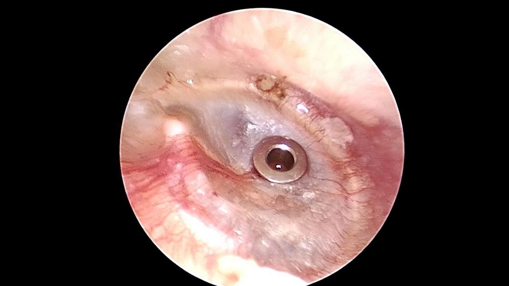 f286b783f495d497da1969ab41a5ad8