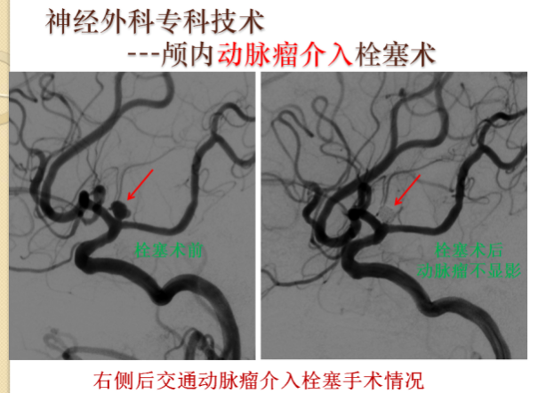 9fdda9b9aed242508a2db4ce5aa42f24.png