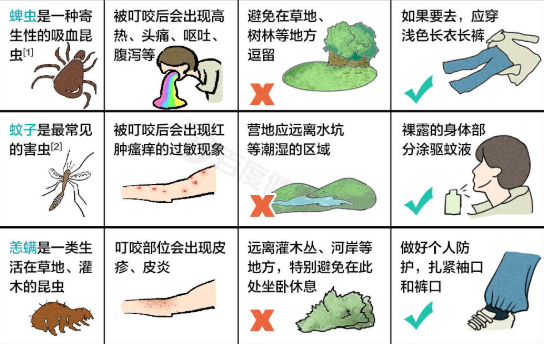 2ff1deebb5444a569a2c65a332a277e